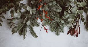 winter-pine-leaves.png
