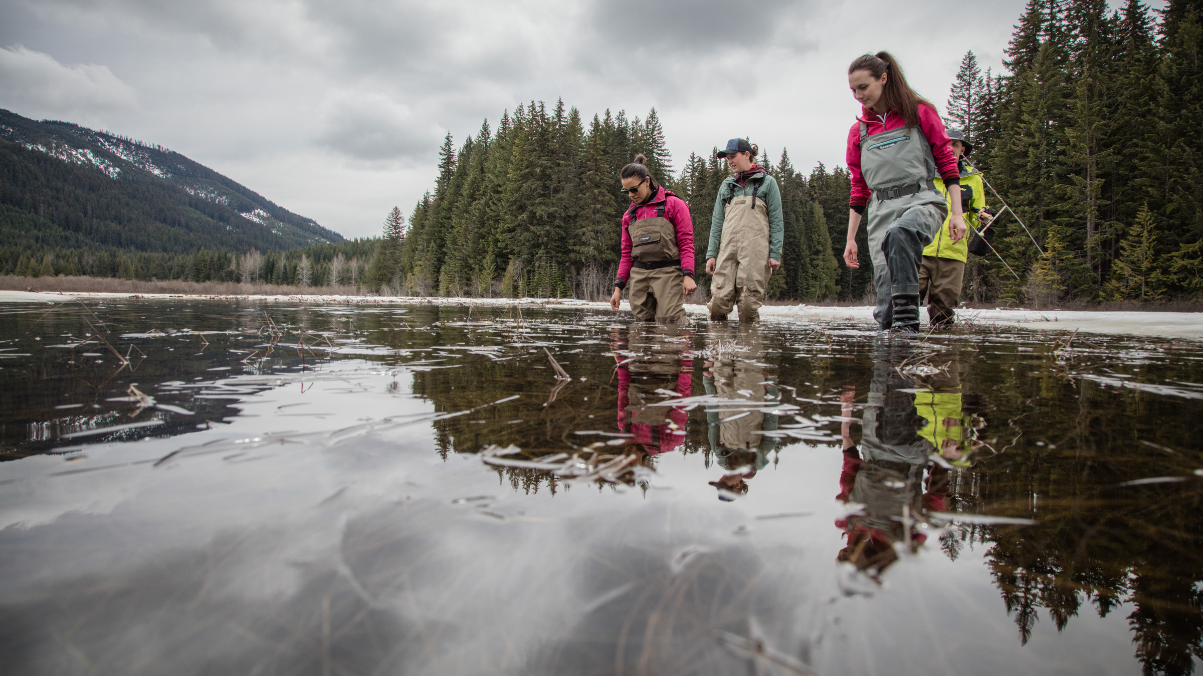 Students out in field wading through an icy pond