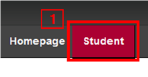 CWU Student tab to the right of the homepage tab.