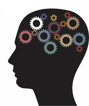brain-gears.jpg