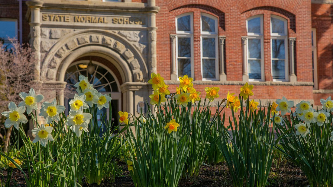 Captivating image of the flowers planted outside of the public affairs building.