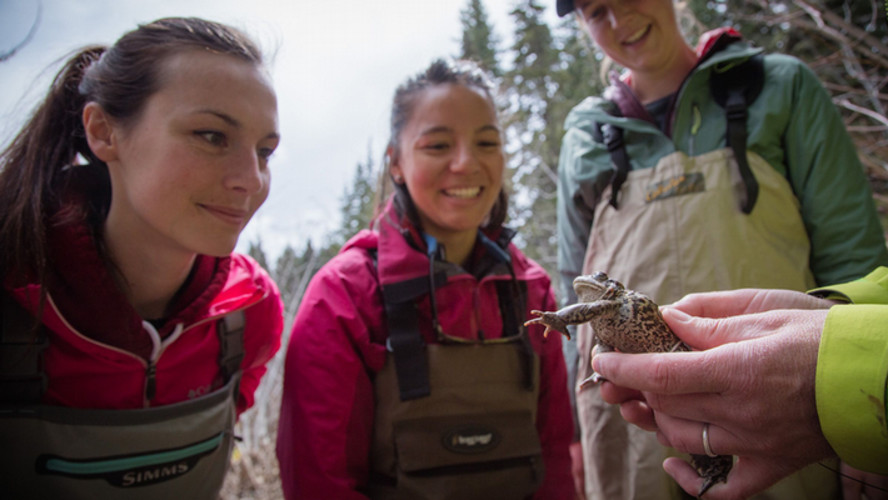 Three students at central washington university observe a frog being held and are amazed at the sight of it