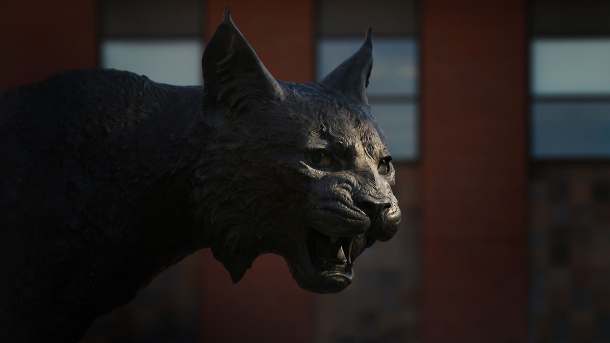 Captivating image of the CWU Wildcat.