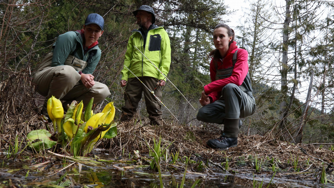 Three students observe a landmark within the environmental studies program within Central Washington University.