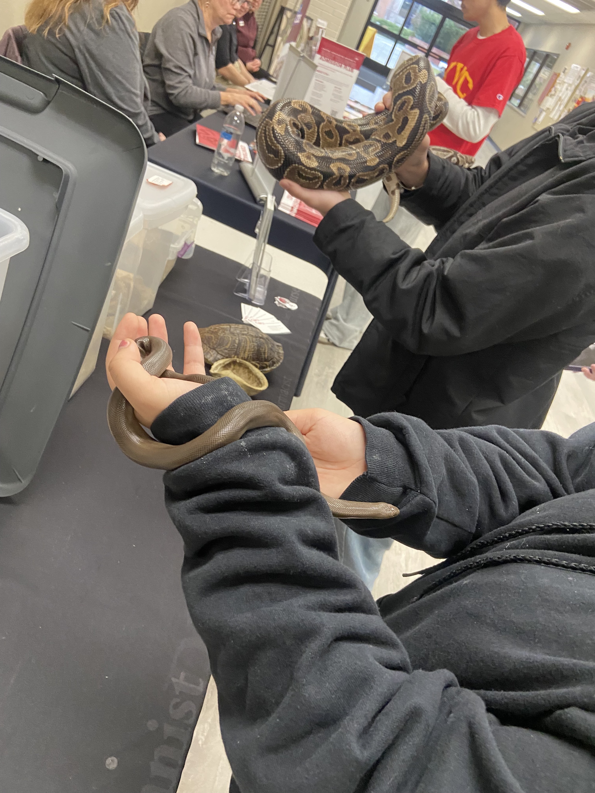 Tabling day in the Hub with special guests from the Biology Department. 