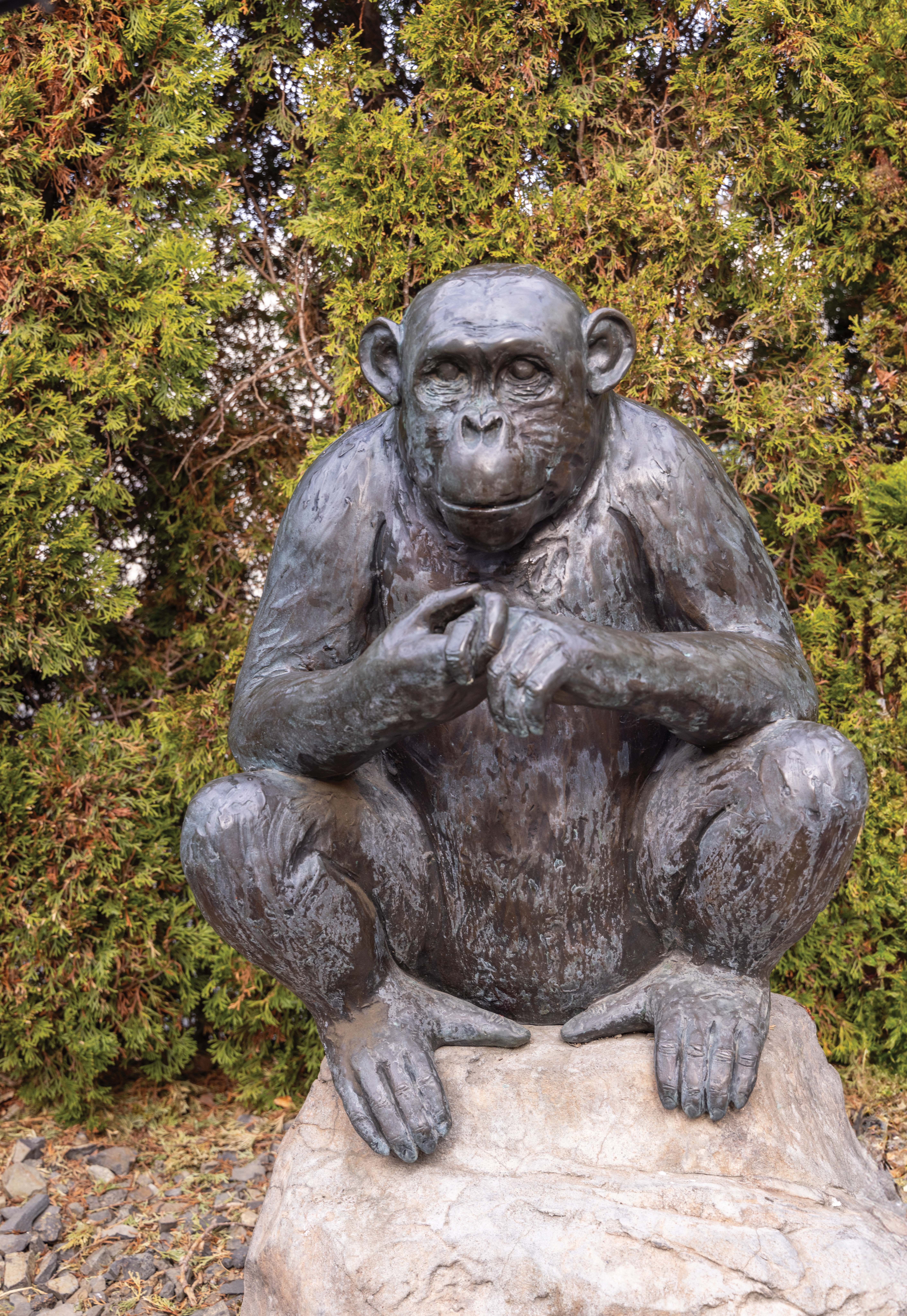 Photo of the statue of Washoe in Friendship Park in Ellensburg.