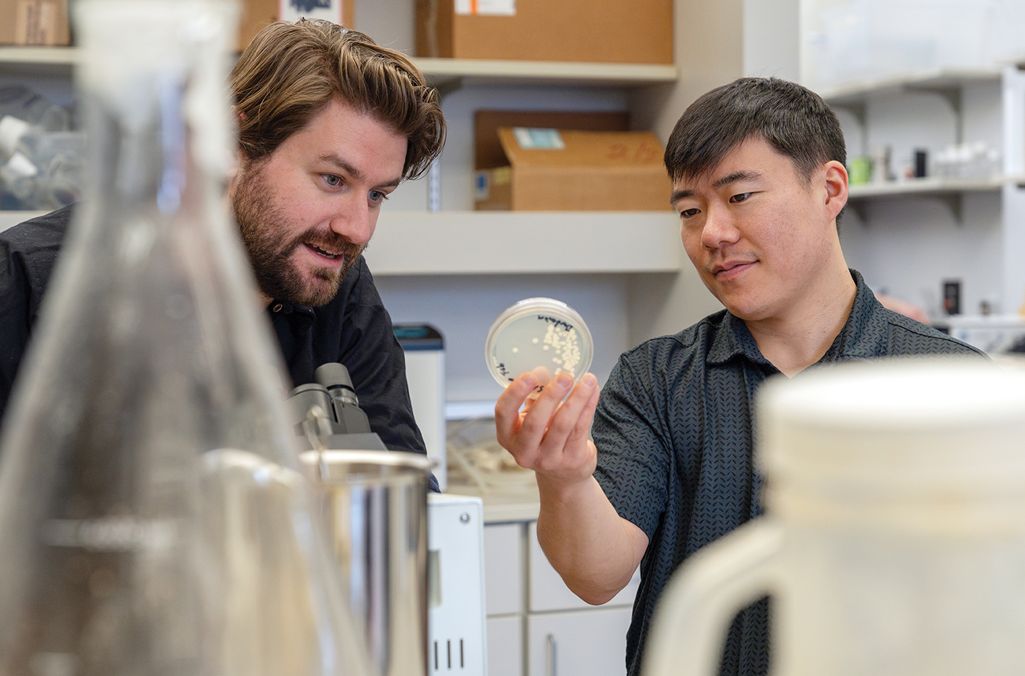 Craft brewing professors look at a sample