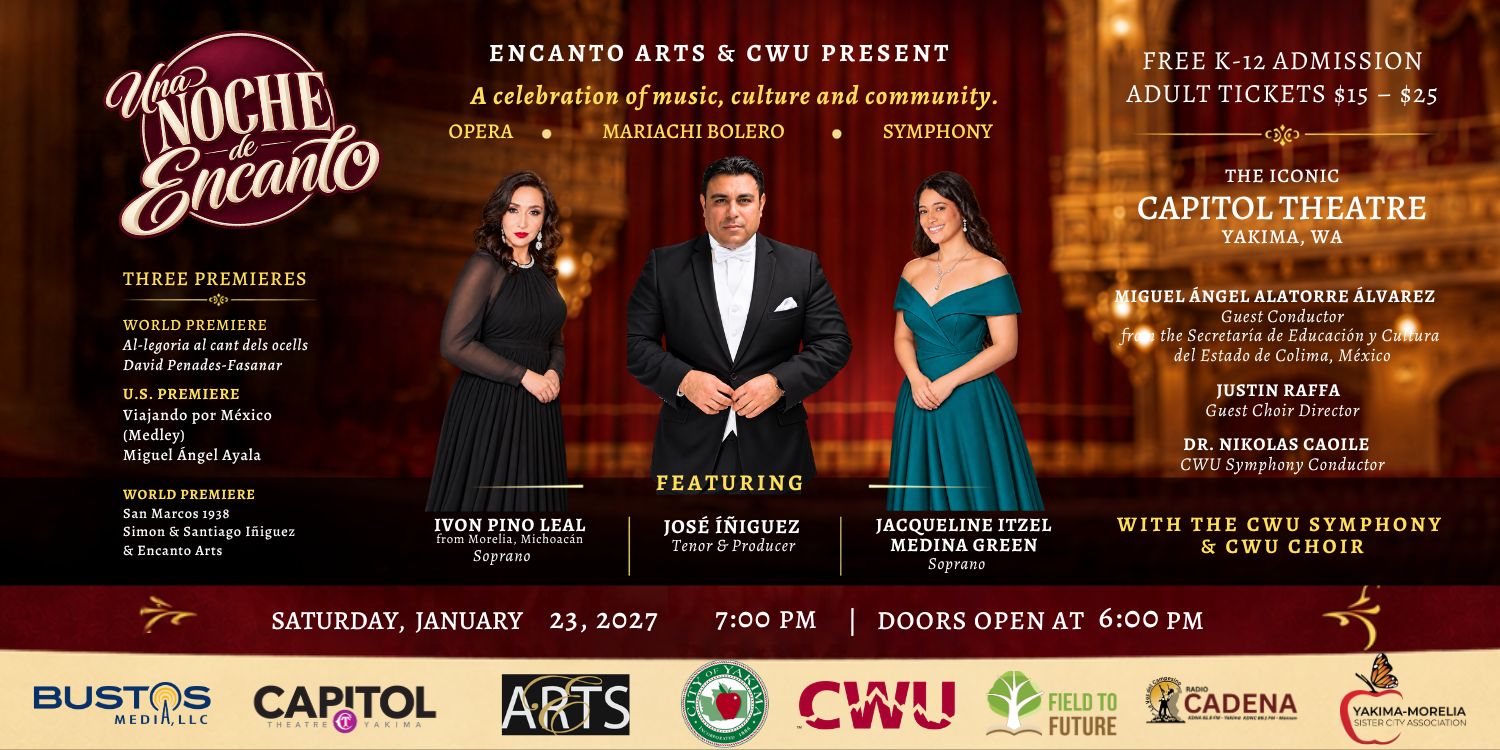 A banner for the Una Noche de Encanto concert