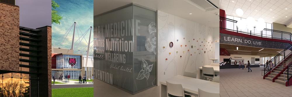Photo composition of the Health Education Project and new Health Sciences Building