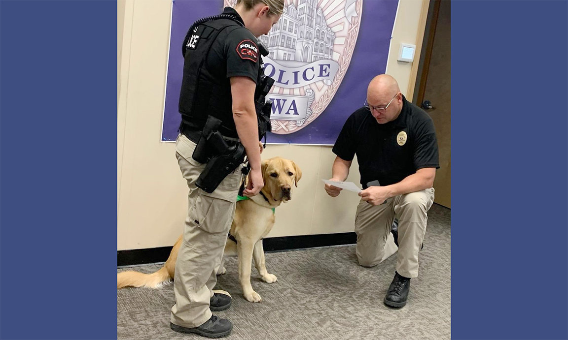 CWU Police Chief Jason Berthon-Koch swears in Archie, the new campus therapy dog, on May 30. Also pictured is Officer Mackenzie Williams. 