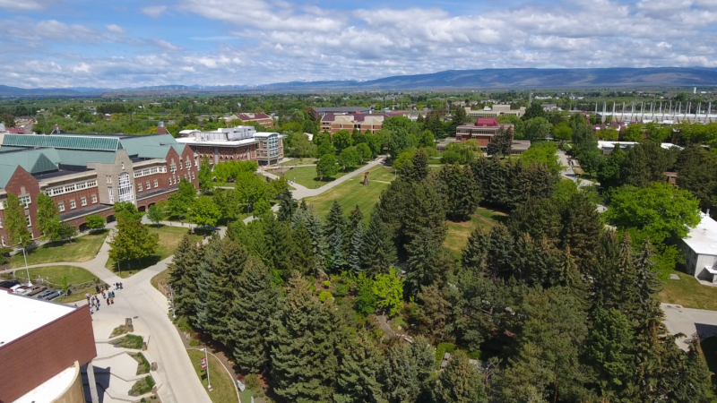 Trees on the CWU Ellsnburg campus