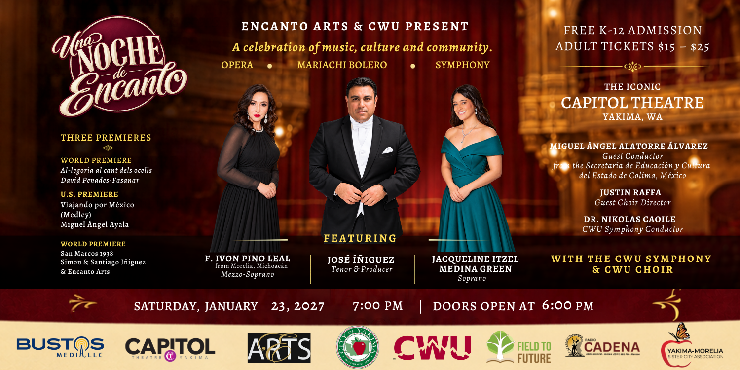 A banner for the Una Noche de Encanto concert