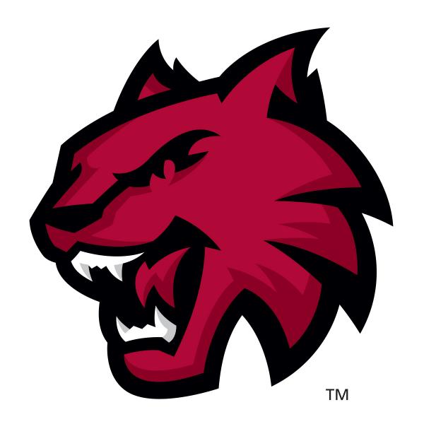 Wildcat logo