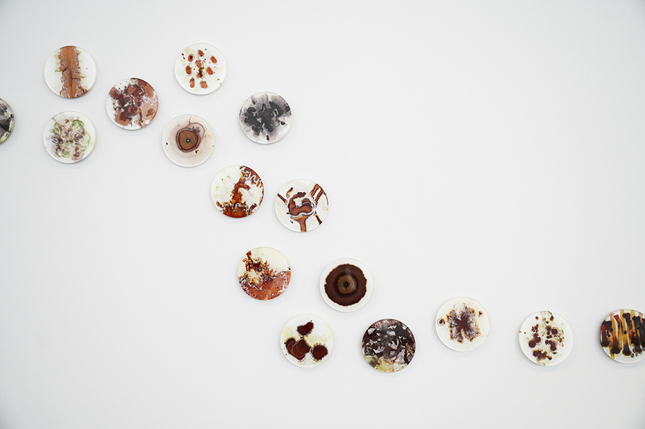Elizabeth Ransom, The Woods, Soil chromatography prints on glass, 2021-2024