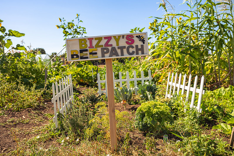 A sign indicating where the honeybees are at The Farm