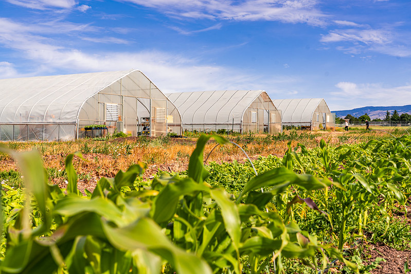 A wide-angle view of The Farm