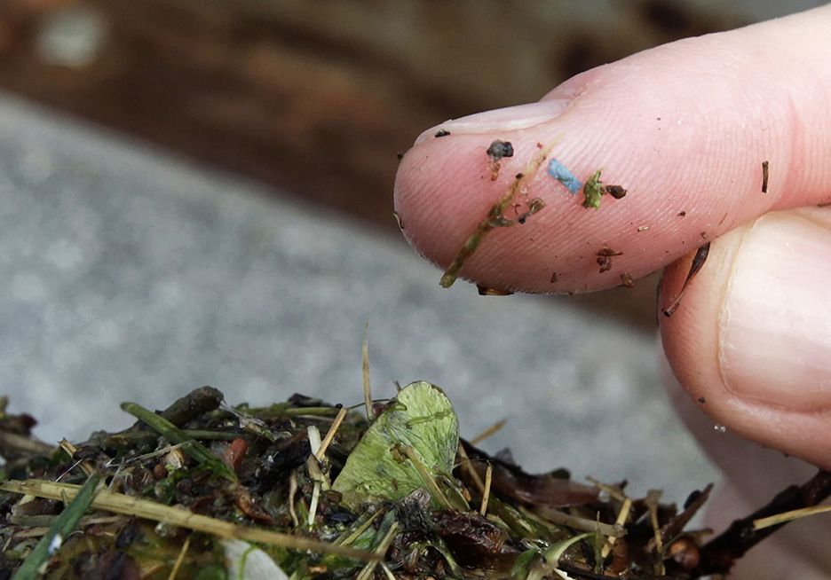 A piece of microplaslic is visible on a researcher's finger