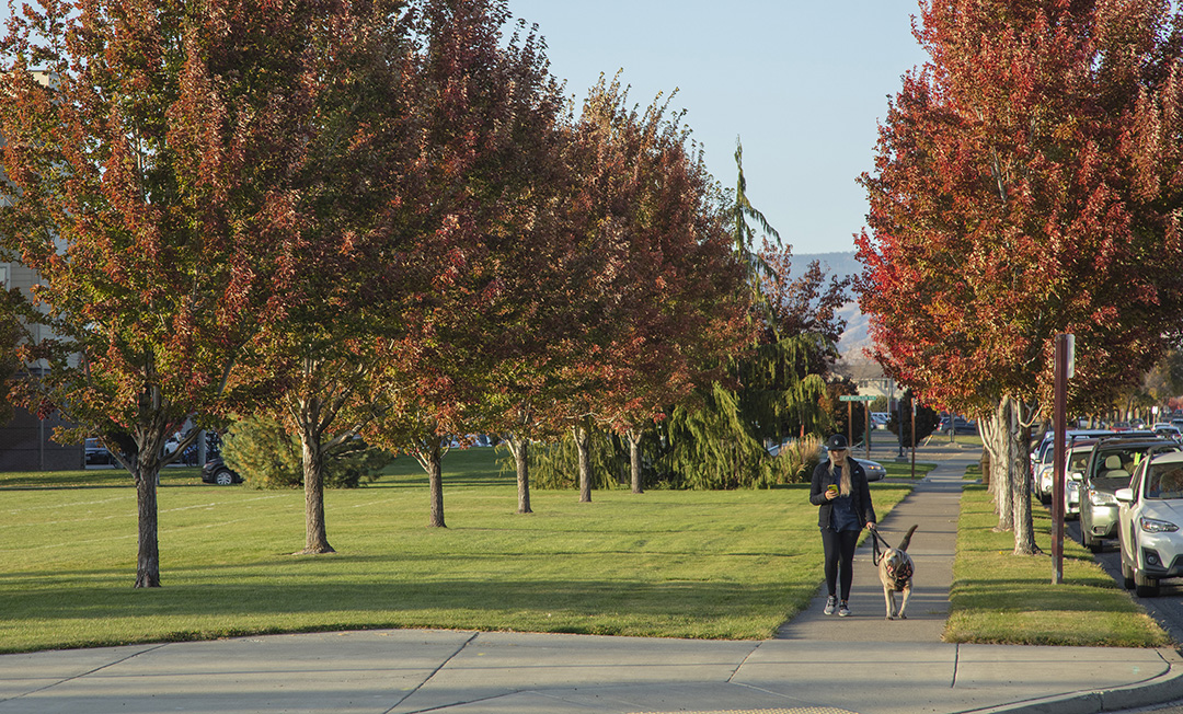 CWU and the city of Ellensburg have partnered on a new easement for the ongoing Palouse to Cascades Trail extension project.