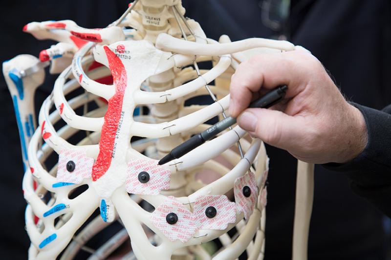 Human ribcage being studied in CWU lab