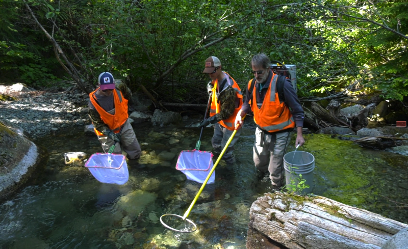 A team of researchers, led by Paul James, surveys a river