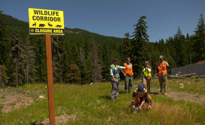 A team of students stand near a sign for the wildlife corridor
