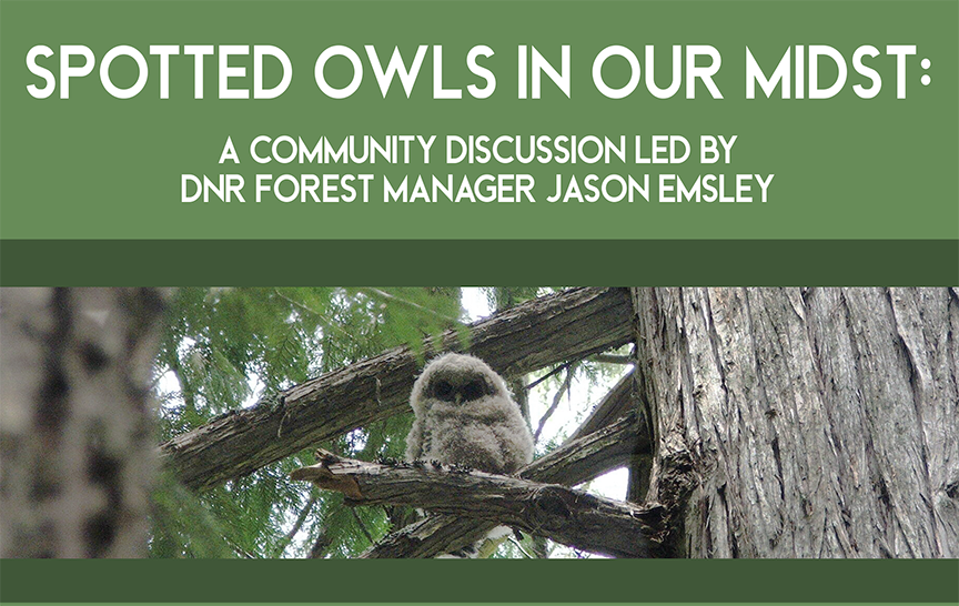 The CWU Museum of Culture and Environment to host ‘Spotted Owls in Our Midst’ on Thursday at 5:30 p.m. in Dean Hall and on YouTube.