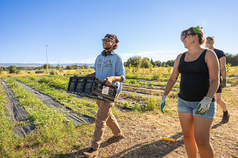 The Farm staff walks through the fields with fresh produce