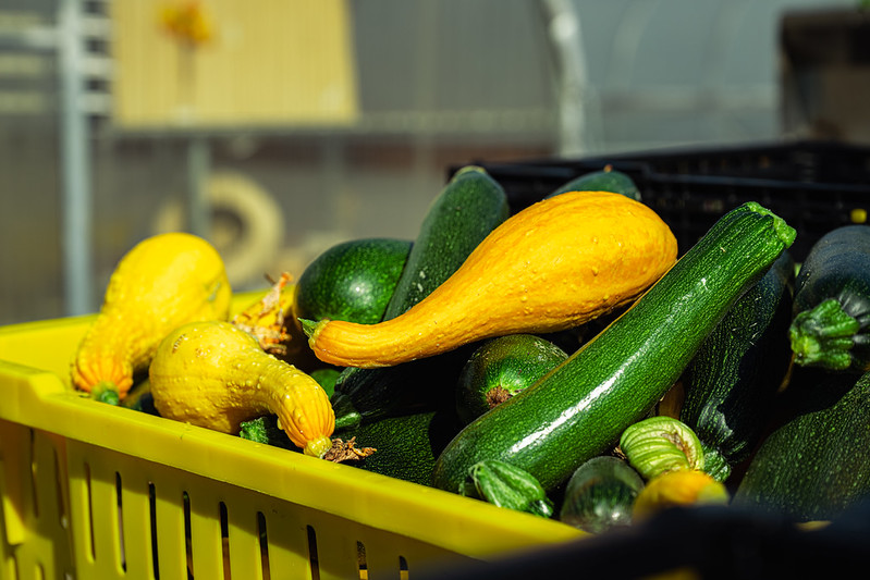 A basket of squash