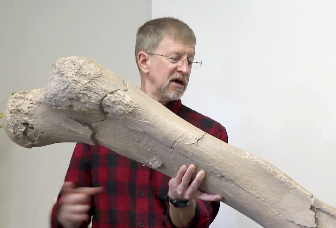 Dr. Patrick Lubinski holds up a cast of a mammoth leg bone