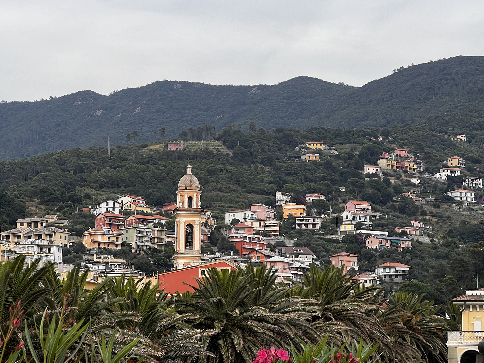 An Italian hillside with homes and trees