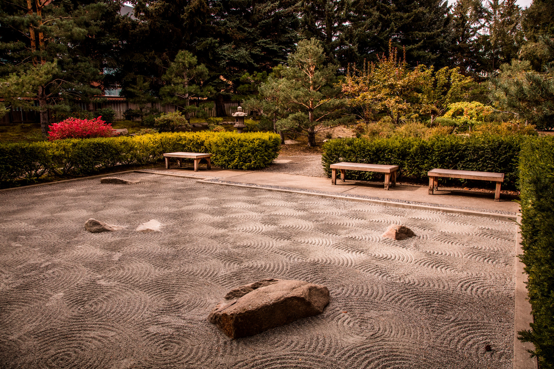 Japanese Garden