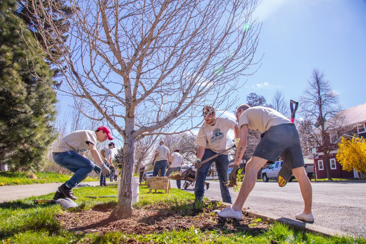 Planting trees on Earth Day