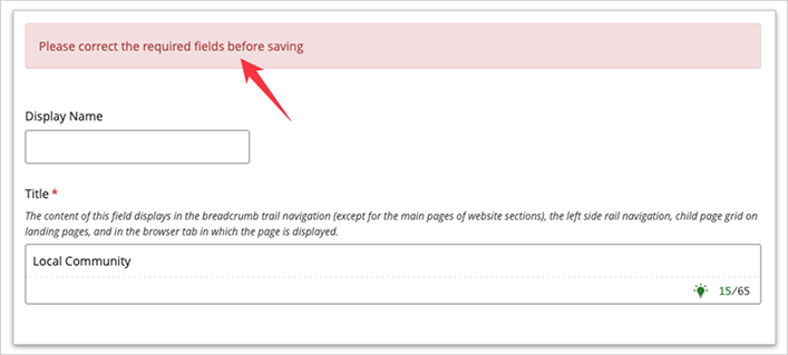 Screenshot showing "Please correct the required fields before saving" error 