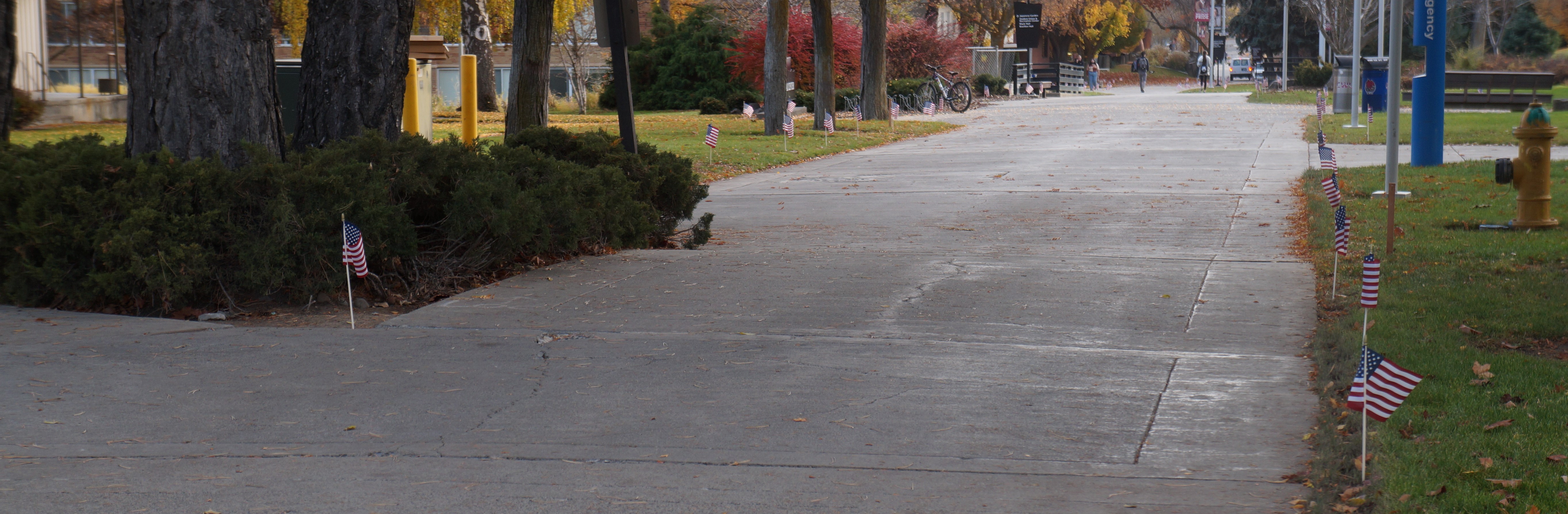 Flags along a walkway