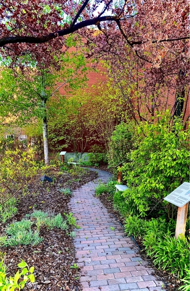 The Butterfly Garden's interpretive walkway.