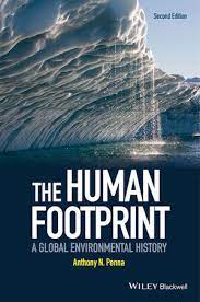 the-human-foot-print.jpeg