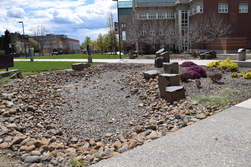 Water Efficient Landscaping