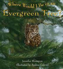 where-would-i-be-in-an-evergreen.jpeg