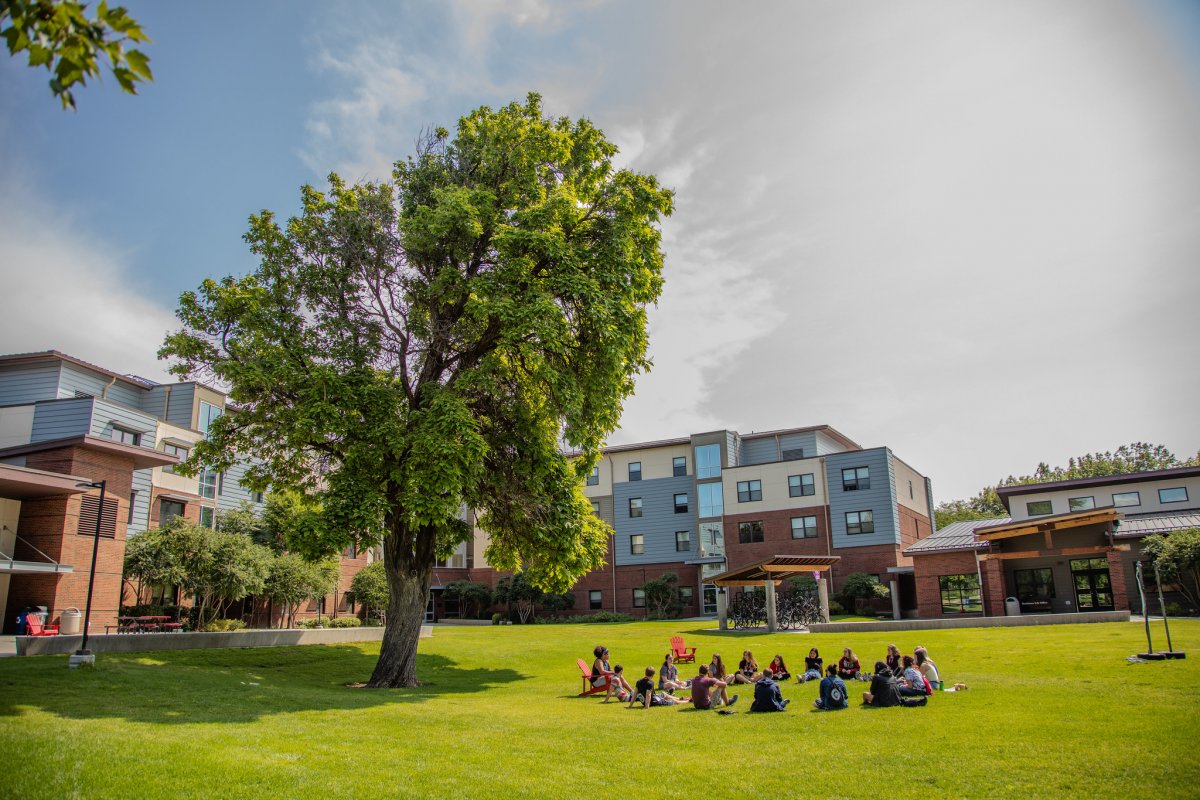 Group of students sitting in a circle next to a large tree on a green lawn in-front of Barto Hall