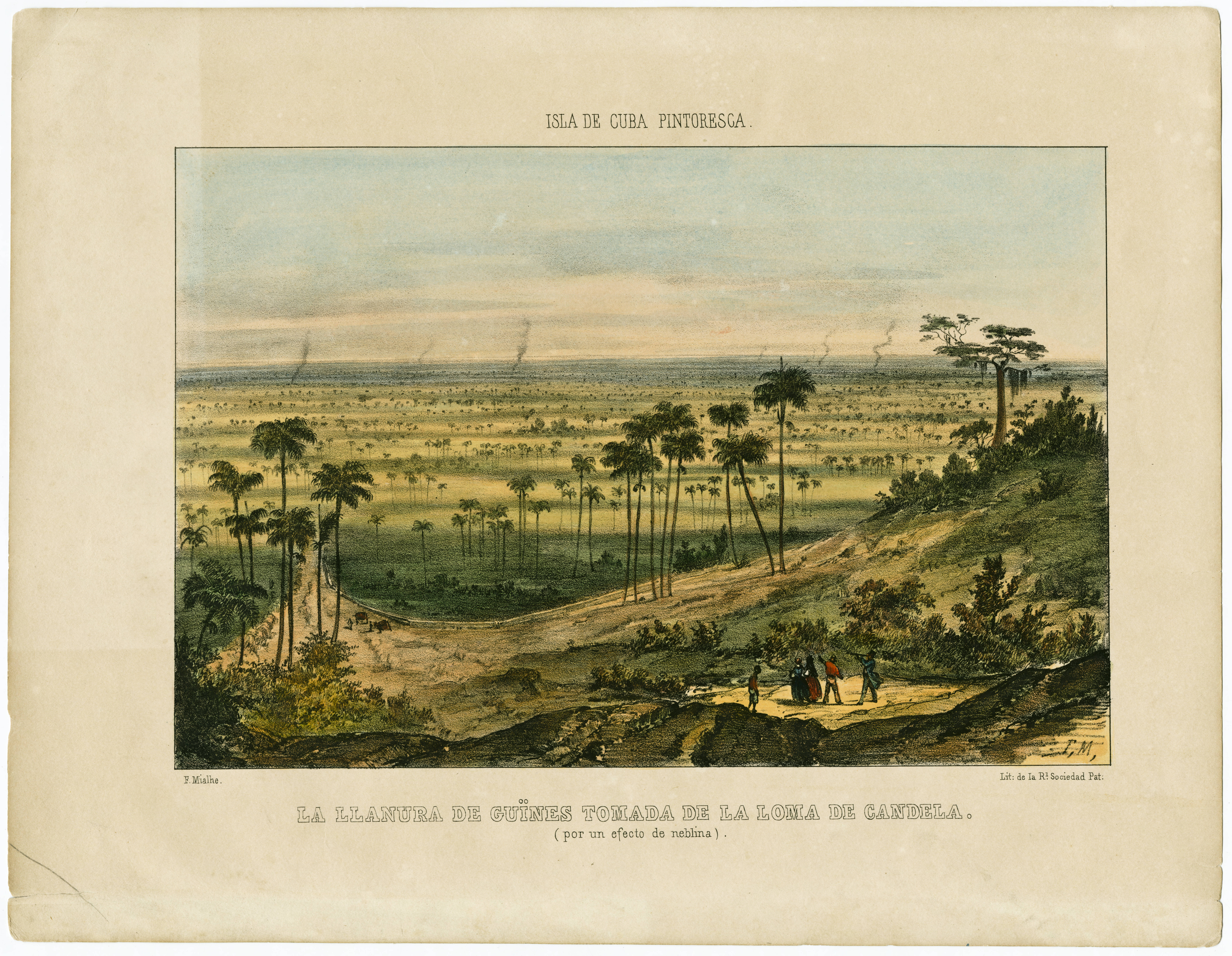 Hand colored lithograph, a ninenteenth century image of a sugarcane plantation with palm trees and small figures in the foreground.