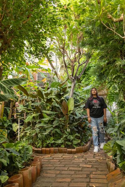 A student in a black CWU t shirt stands amongst the tall trees and foliage in the Greenhouse Jungle Room.
