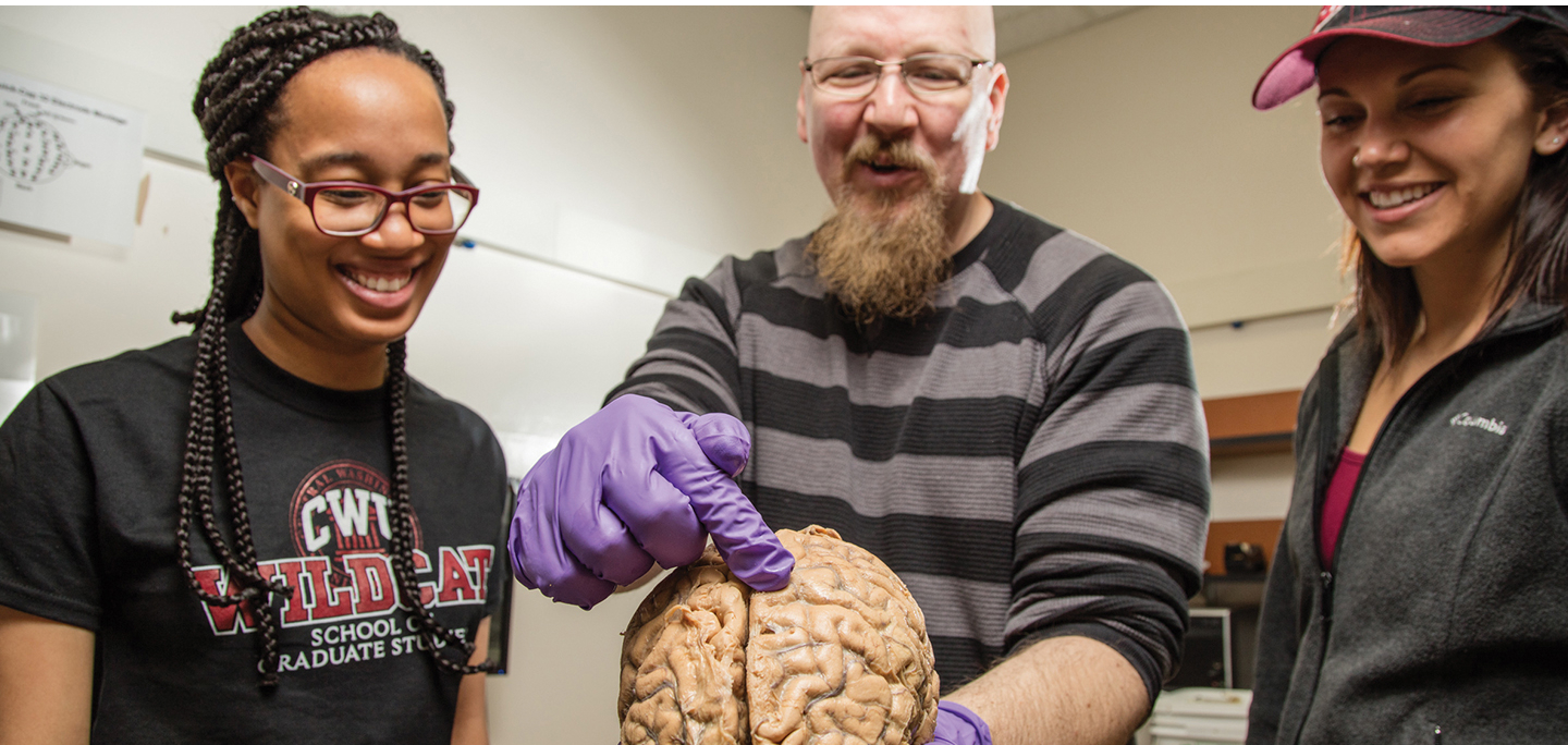Two student watching the professor point to a specific part of a real brain