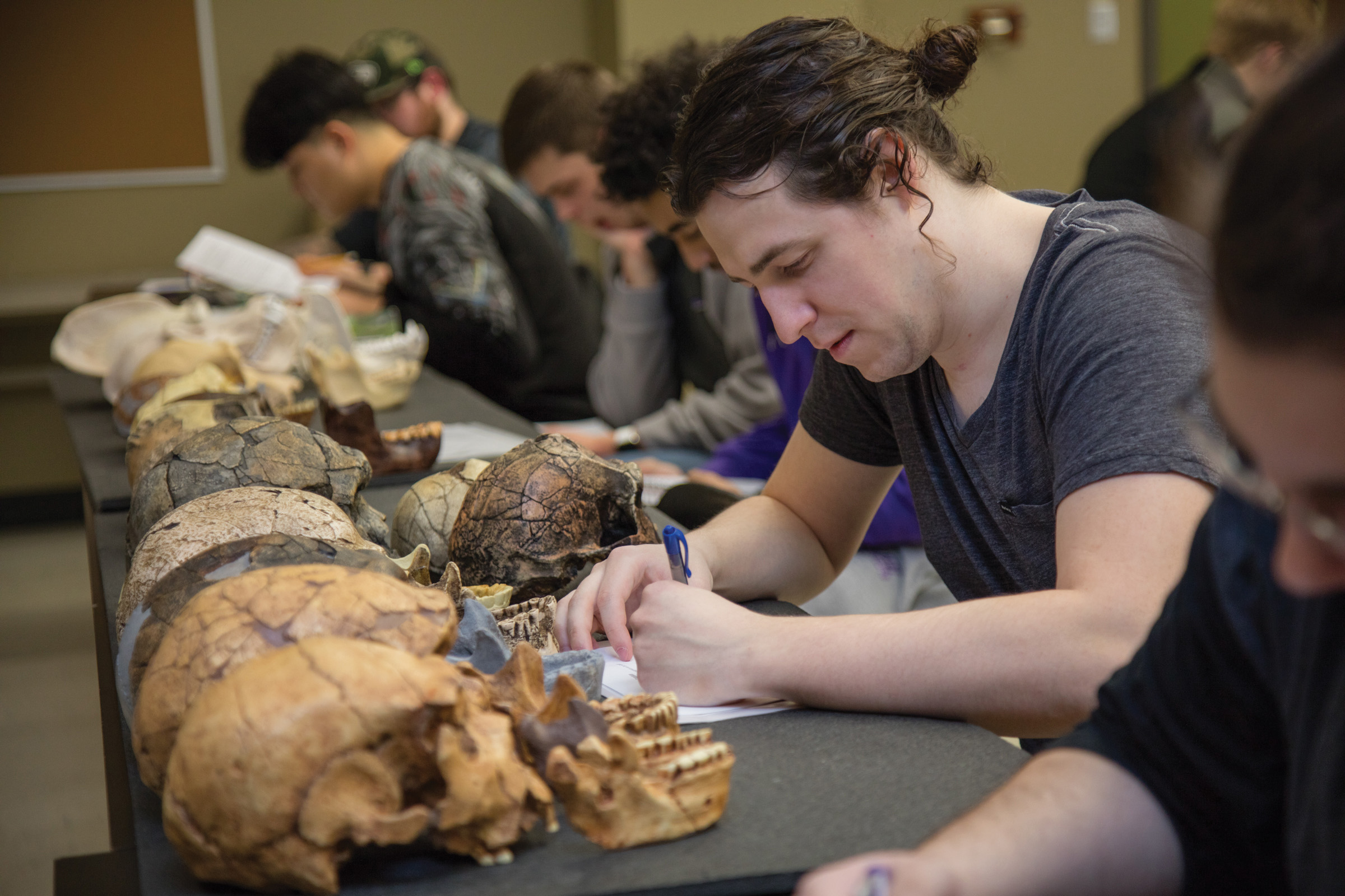 people in classroom writing about primate skulls that are on table