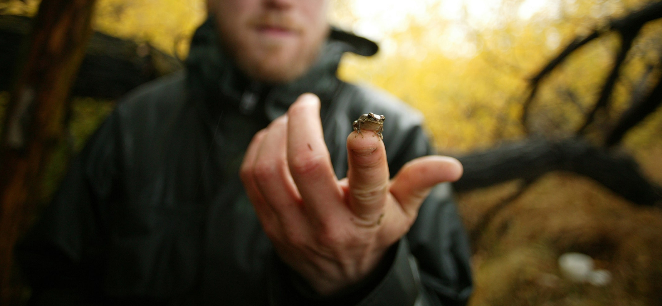 biology student showing tiny frog