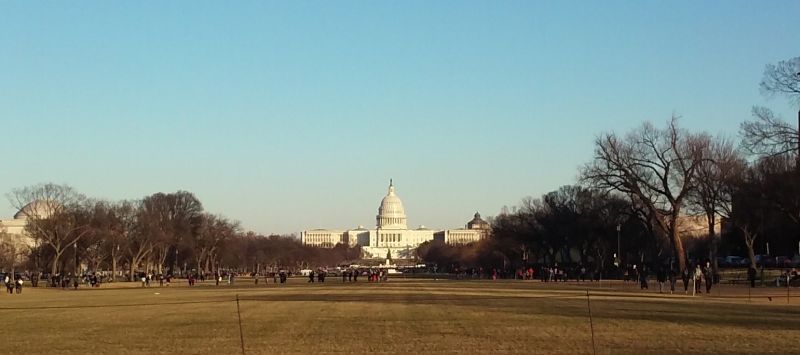 View from the National Mall looking toward the Capitol Building