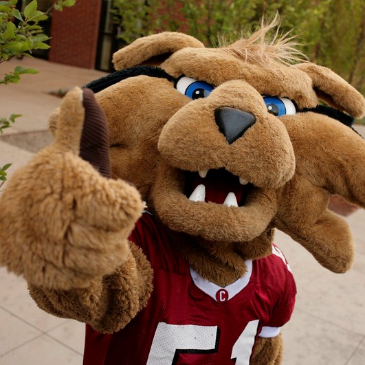 wellington the wildcat (CWU's mascot) holding a thumbs up. He is standing outside