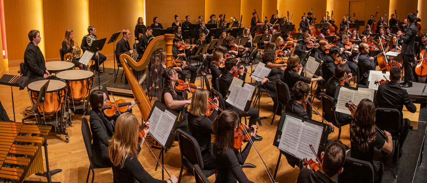 Panoramic image of the orchestra performing on the concert hall stage.