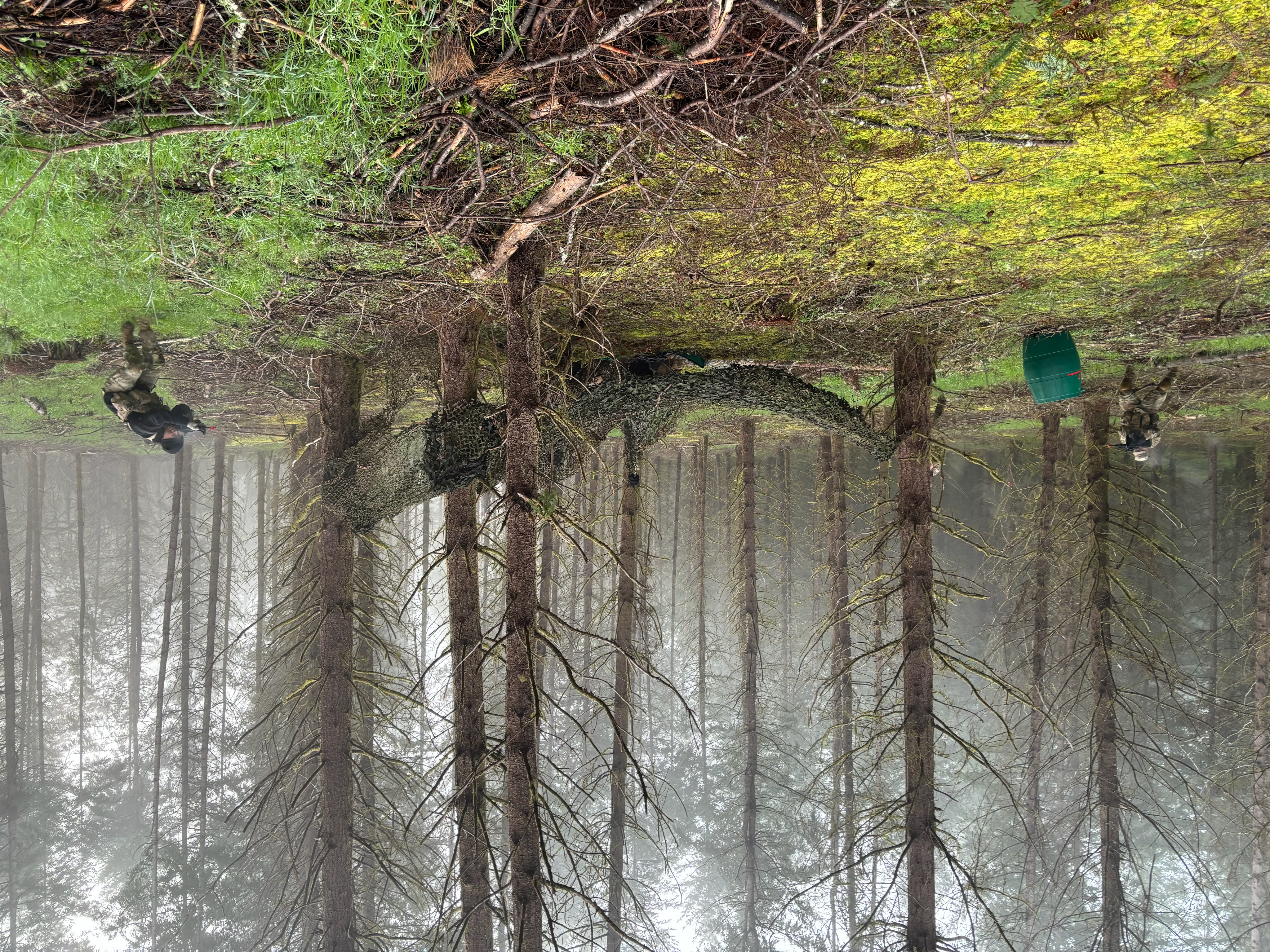 Photo of mock combat training in wooded area..