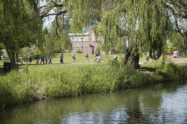 The creek on campus and flowy trees around it. Students are walking to class in the background