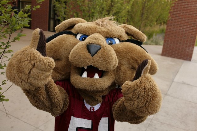 Wellington Mascot holding two thumbs up